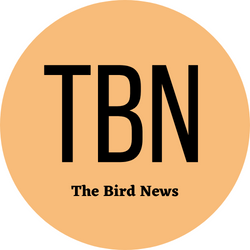 The Bird News